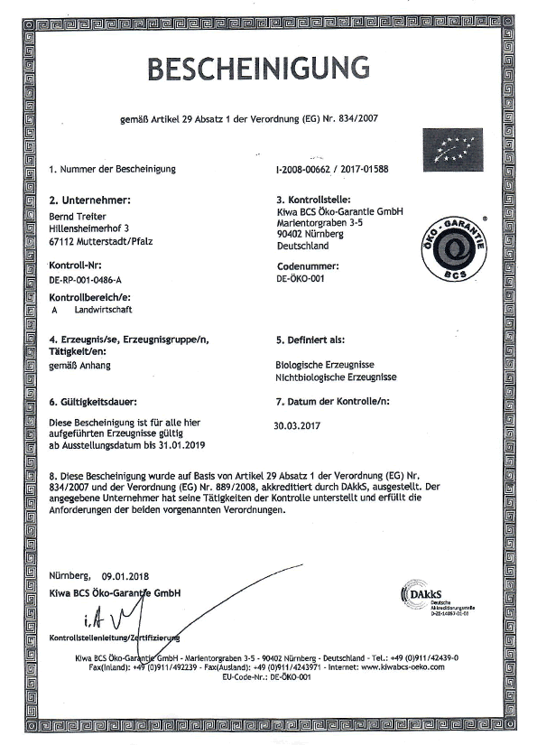 PDF anzeigen