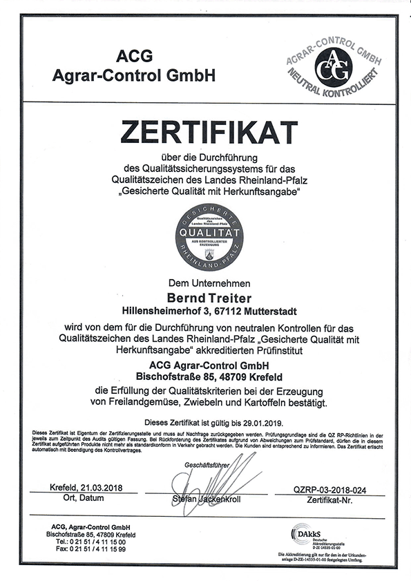 PDF anzeigen